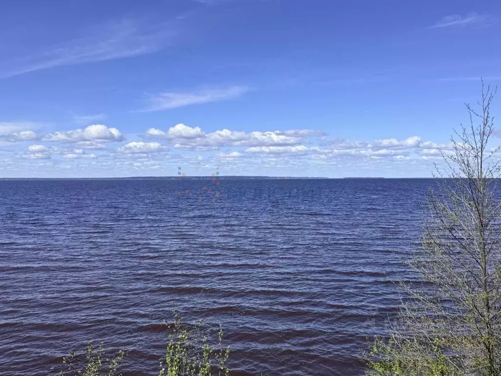 Участок в Нижегородская область, Сокольский муниципальный округ, д. ... - Фото 2