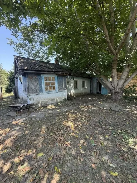Дом в Краснодарский край, Новокубанск  (29 м) - Фото 1