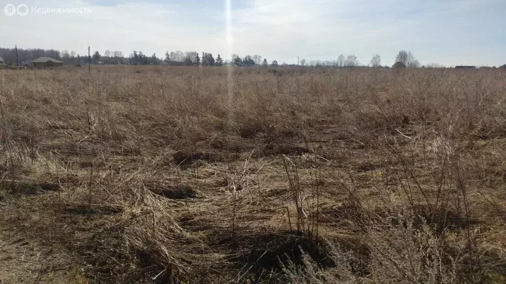 Участок в Томский район, село Кафтанчиково (9.18 м) - Фото 1
