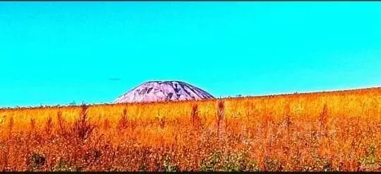 Участок в Башкортостан, Ишимбайский район, Урман-Бишкадакский ... - Фото 1
