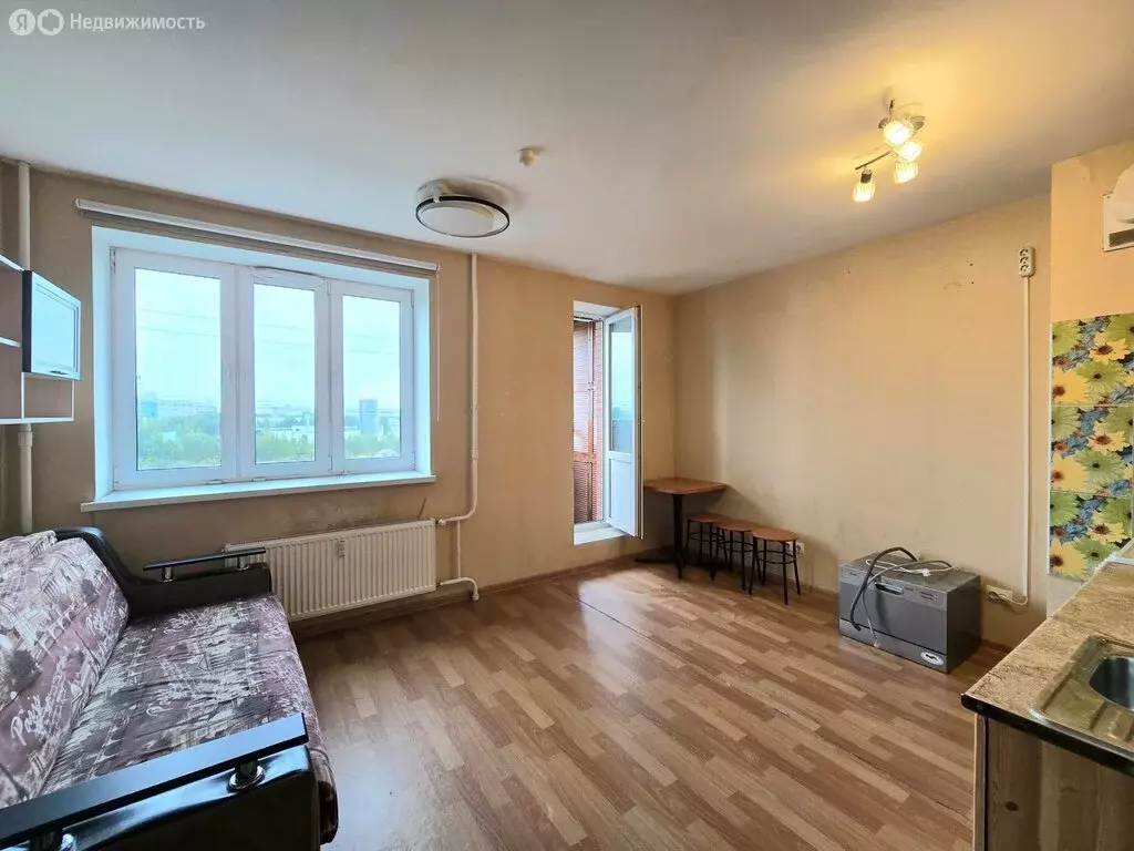 Квартира-студия: посёлок Парголово, Толубеевский проезд, 24 (25.5 м) - Фото 2