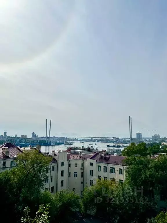 3-к кв. Приморский край, Владивосток Пушкинская ул., 50 (42.0 м) - Фото 1