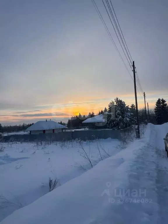 Участок в Пермский край, Добрянский муниципальный округ, д. Залесная ... - Фото 1