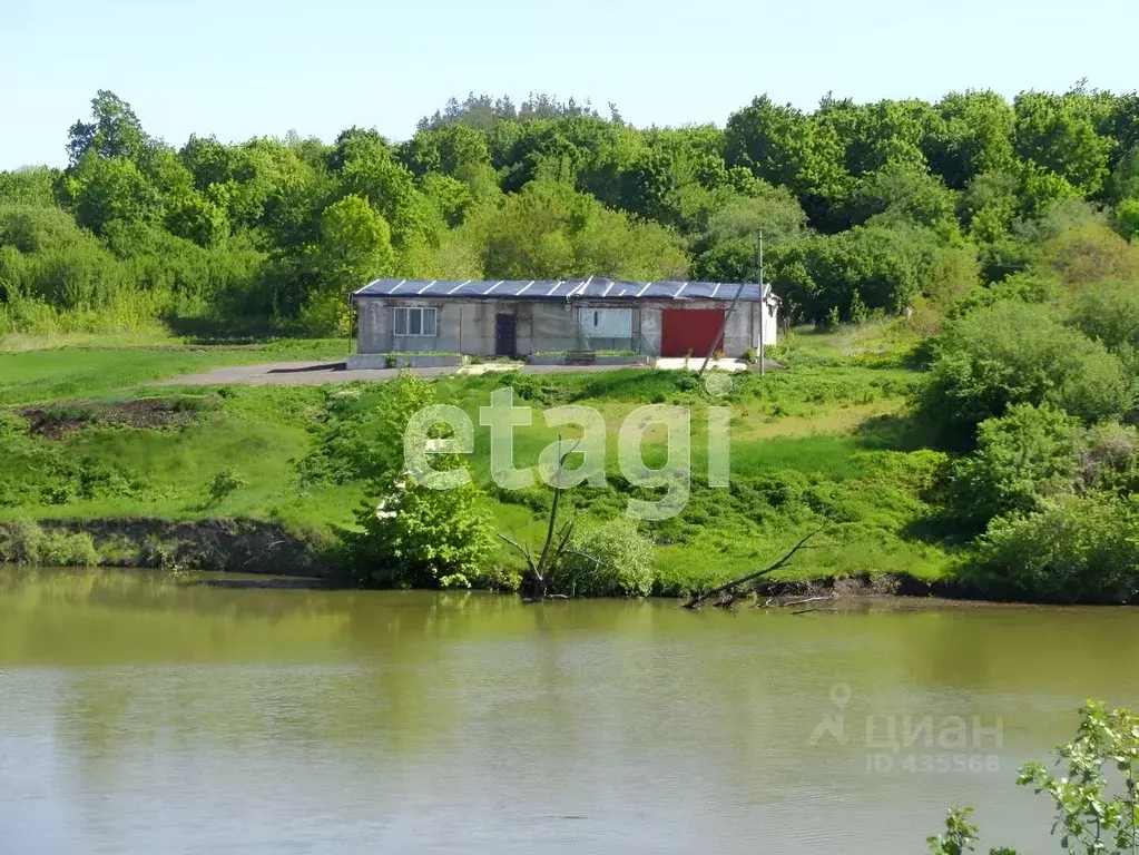 Дом в Белгородская область, Волоконовский район, Староивановское ... - Фото 0