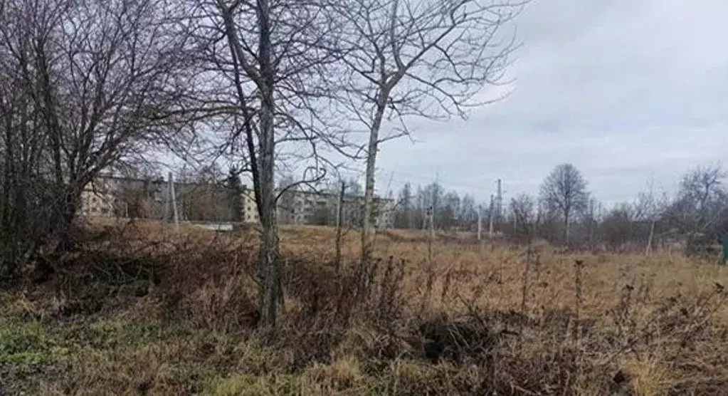 Участок в Московская область, Дмитровский муниципальный округ, ... - Фото 0