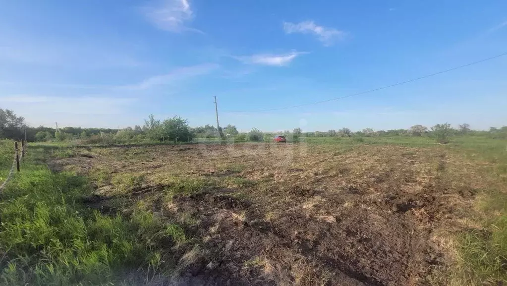 Участок в Саратовская область, д. Новая Липовка ул. Дорожная (15.0 ... - Фото 1