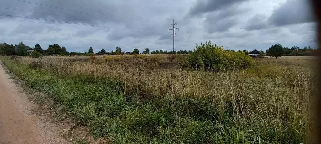 участок в новгородская область, новгородский район, ракомское с/пос, . - Фото 0