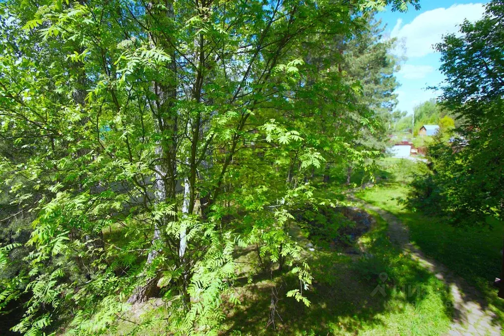 Участок в Московская область, Одинцовский городской округ, Серебряные ... - Фото 1