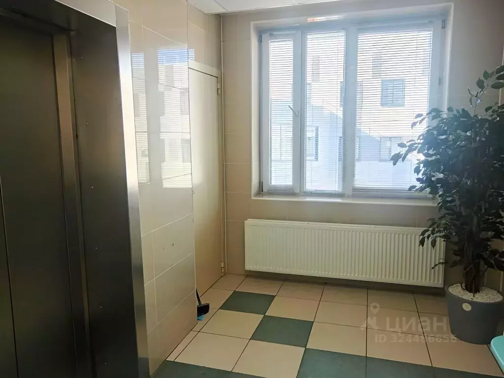 Помещение свободного назначения в Татарстан, Набережные Челны ... - Фото 1