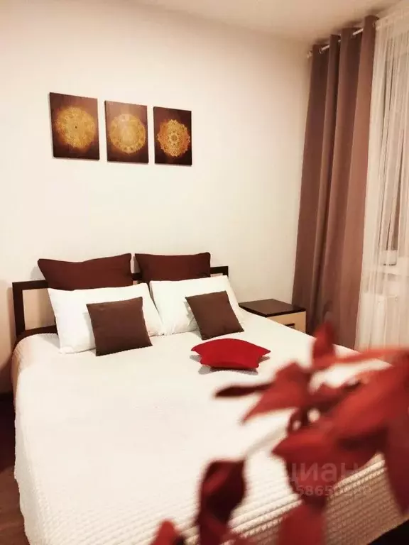 Студия Санкт-Петербург ул. Летчика Лихолетова, 14к2 (25.0 м) - Фото 2