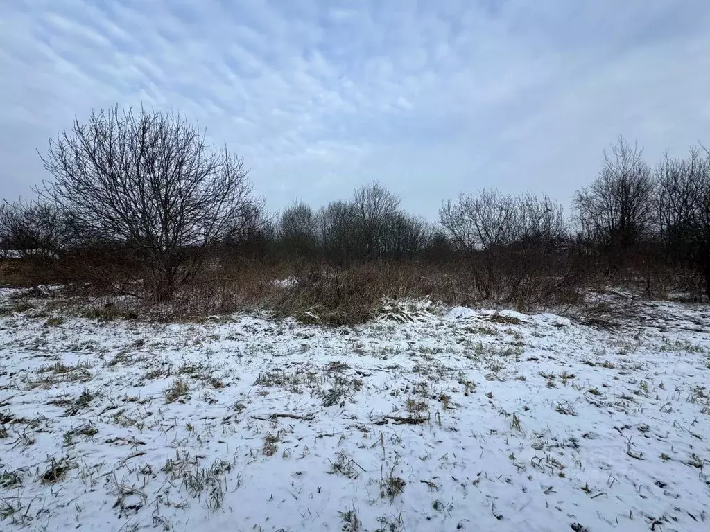 Участок в Московская область, Волоколамский муниципальный округ, д. ... - Фото 2