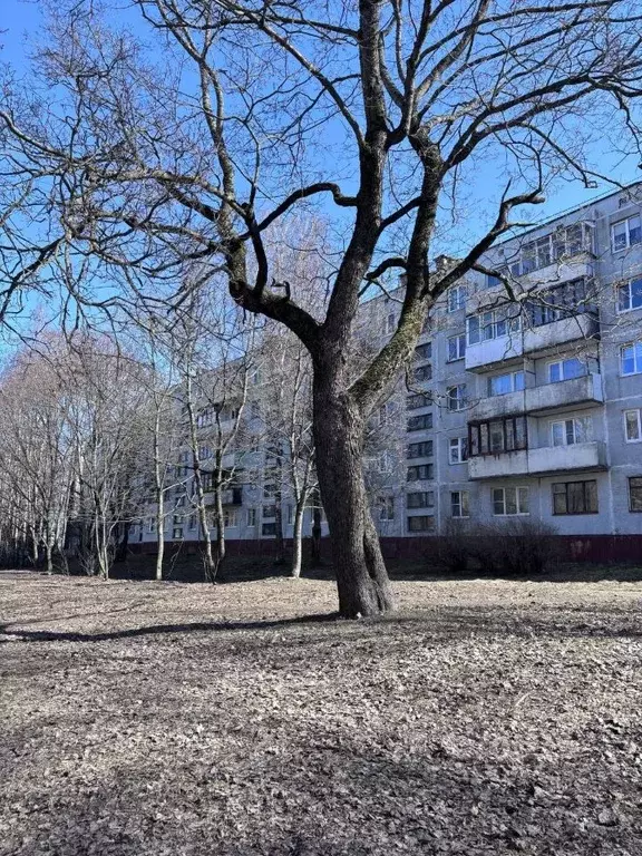 2-к кв. Ленинградская область, Выборг ул. Приморская, 17 (44.0 м) - Фото 1