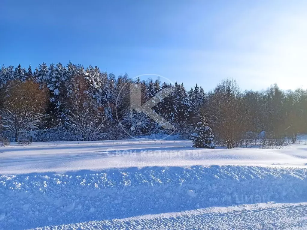 Участок в Московская область, Наро-Фоминский городской округ, д. ... - Фото 1