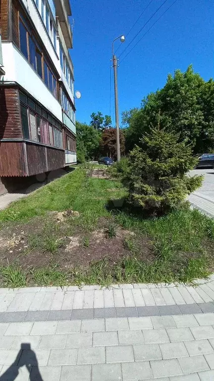 1-к. квартира, 30 м, 4/5 эт. - Фото 0