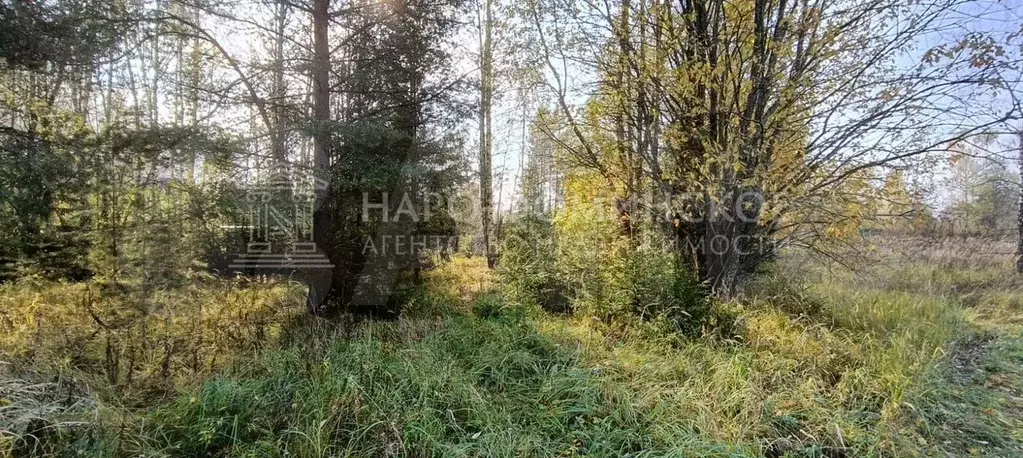 Участок 25 сот. (ИЖС) - Фото 0