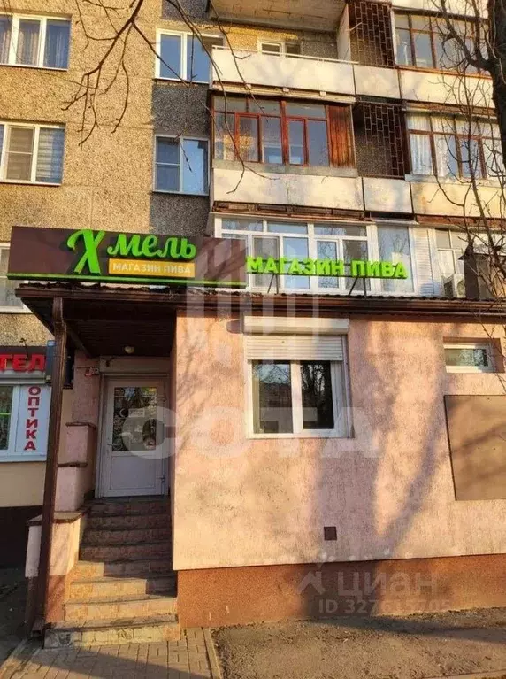 Торговая площадь в Воронежская область, Воронеж ул. Космонавта ... - Фото 1