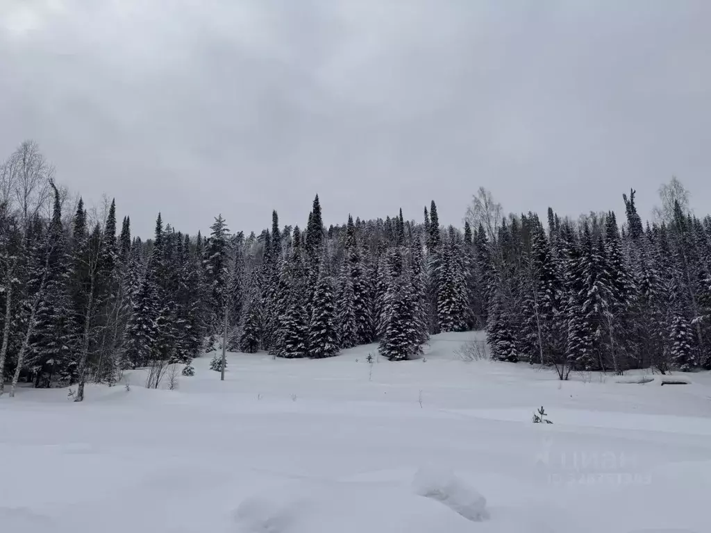 Участок в Алтай, Турочакский район, с. Турочак  (12.0 сот.) - Фото 2