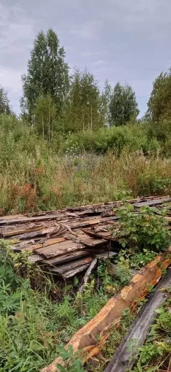 Участок в Курганская область, Шадринск Радуга СНТ, 2 (993.0 сот.) - Фото 1