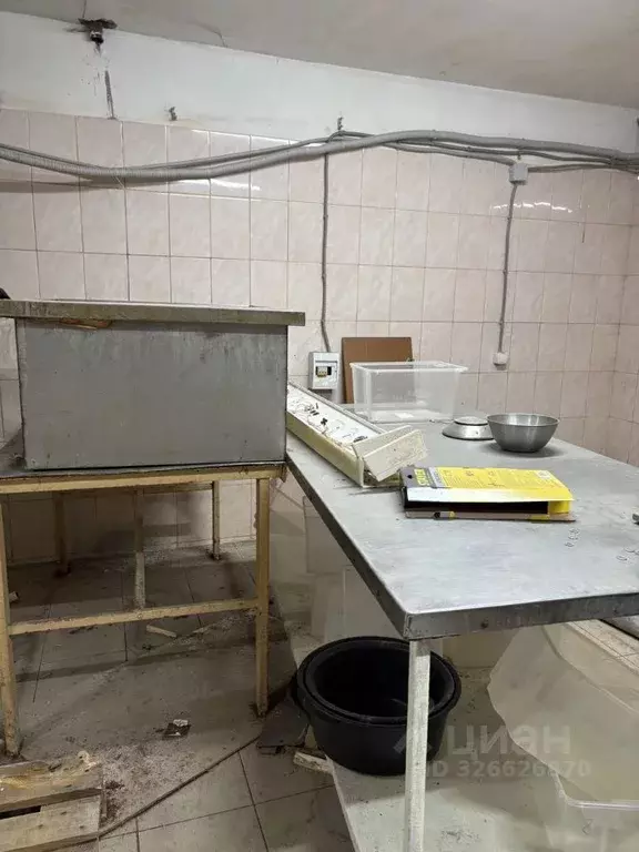 Производственное помещение в Воронежская область, Воронеж Масловка ... - Фото 2