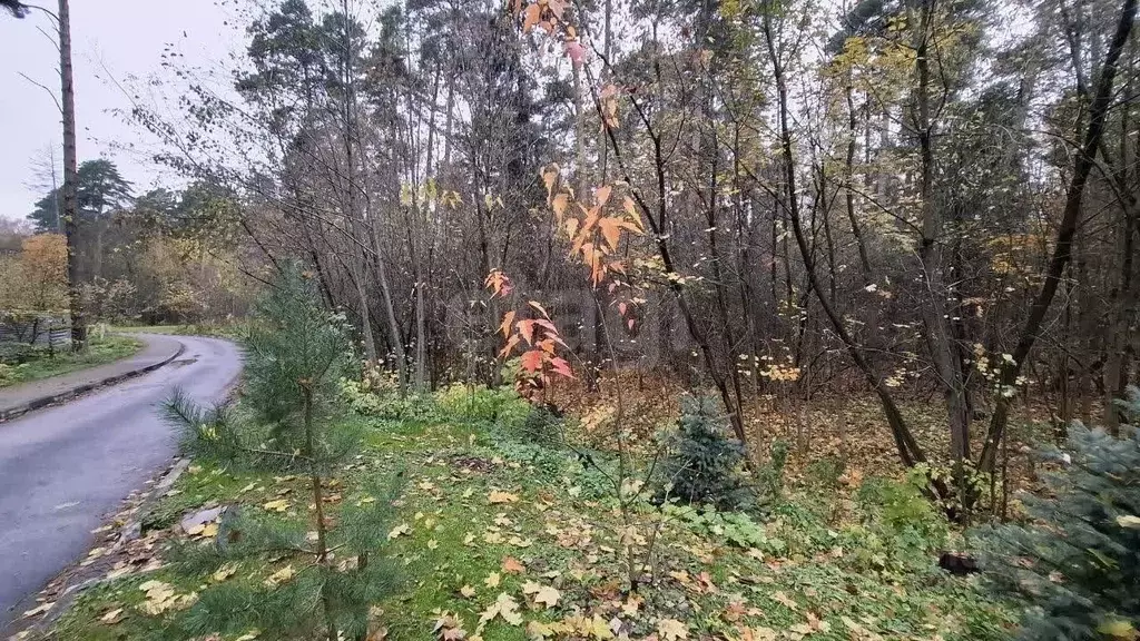 Участок в Московская область, Королев Первомайский мкр, Сосновый Бор ... - Фото 1