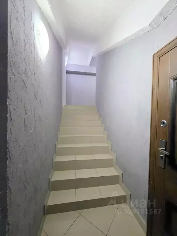 Помещение свободного назначения в Ставропольский край, Ставрополь ул. ... - Фото 1