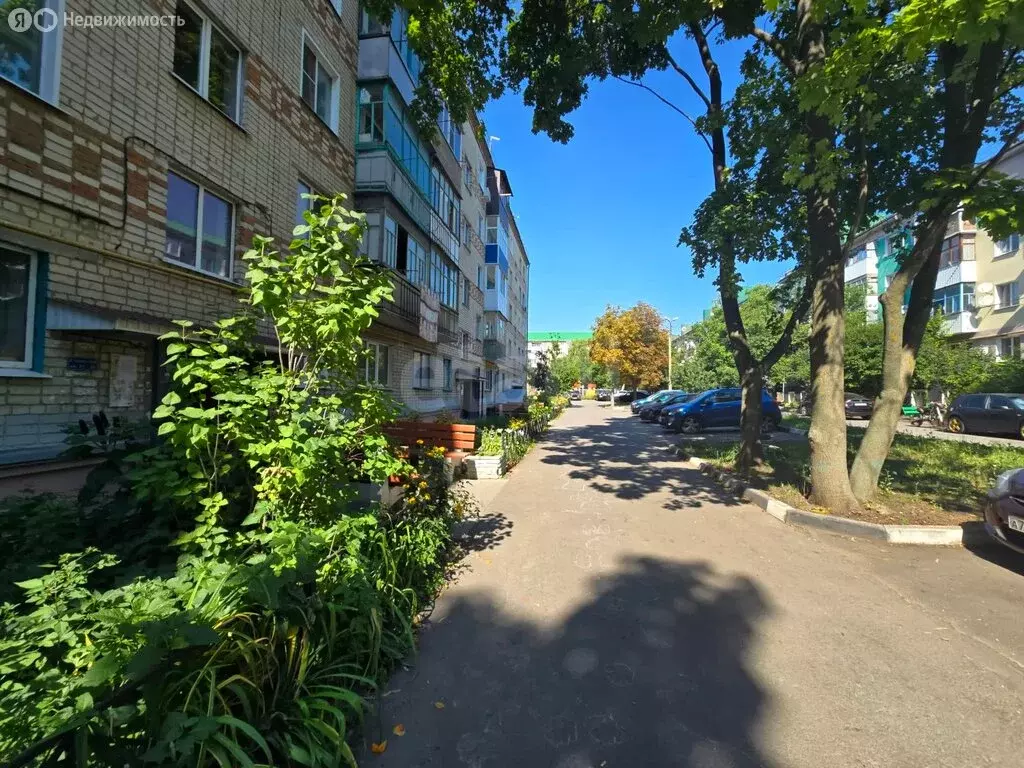 1-комнатная квартира: Валуйки, улица Степана Разина, 1 (31 м) - Фото 2