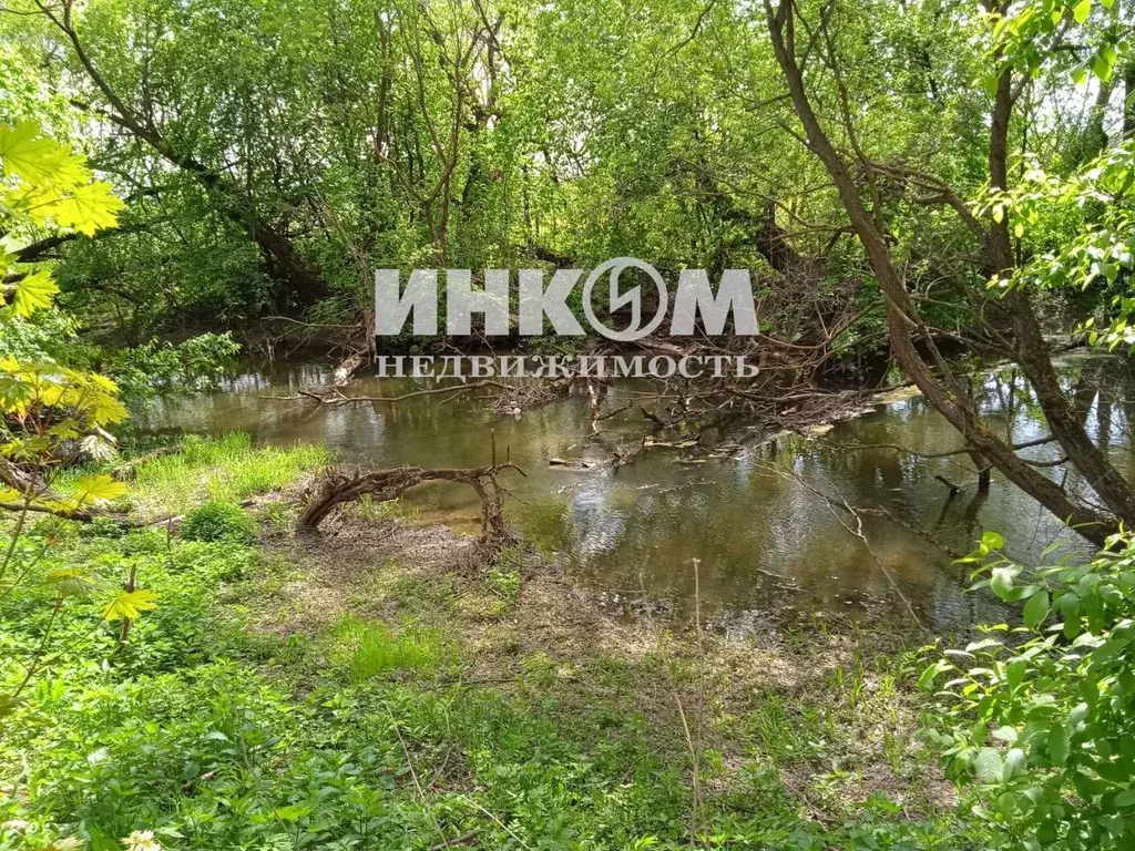 Участок в Московская область, Домодедово городской округ, д. Мотякино  ... - Фото 2