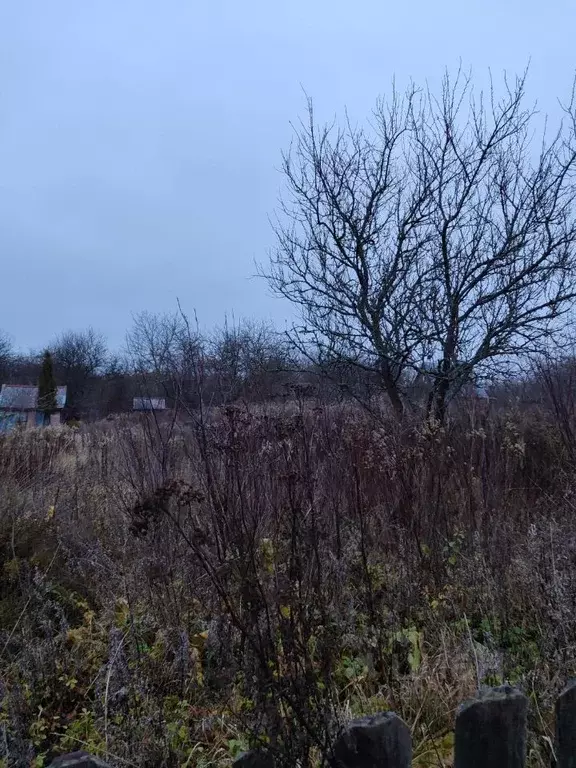 Участок в Калининградская область, Гусев Металлист СОТ,  (6.0 сот.) - Фото 2