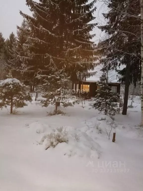 Дом в Ленинградская область, Гатчинский муниципальный округ, Чаща ... - Фото 1