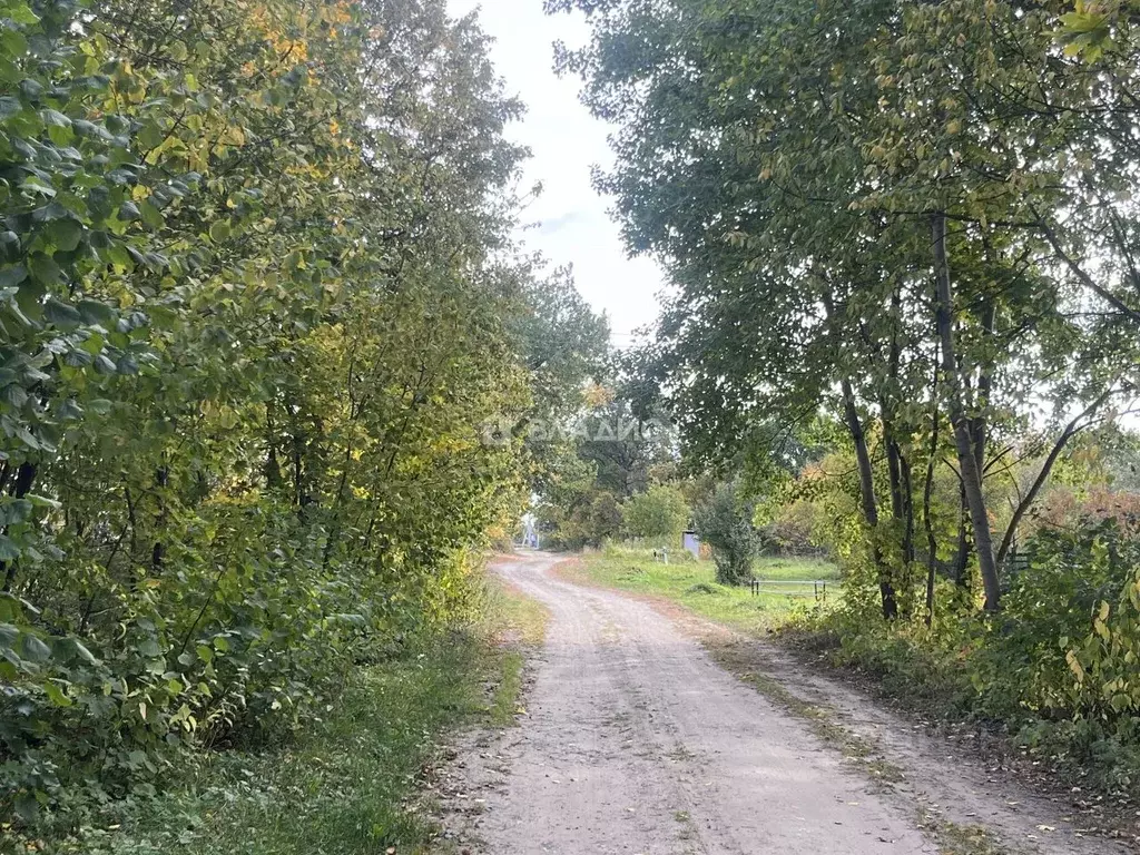 Участок в Пензенская область, Шемышейский район, пос. Янго-Пря Лесная ... - Фото 0