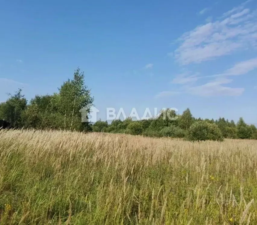 Участок в Ивановская область, Шуйский район, с. Китово ул. 3-я Мира, ... - Фото 1