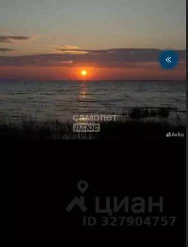Участок в Вологодская область, Дорожник садоводческое товарищество  ... - Фото 2