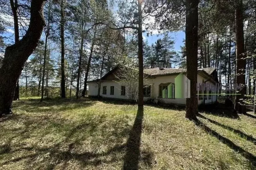 Дом в Новгородская область, Солецкий муниципальный округ, д. Песочки ... - Фото 2