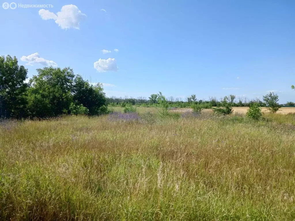 Участок в Ейск, СНТ Восход, 9-я улица (5 м) - Фото 1