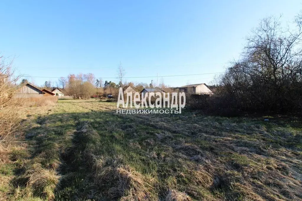 Участок в Ленинградская область, Выборгский район, Каменногорское ... - Фото 1