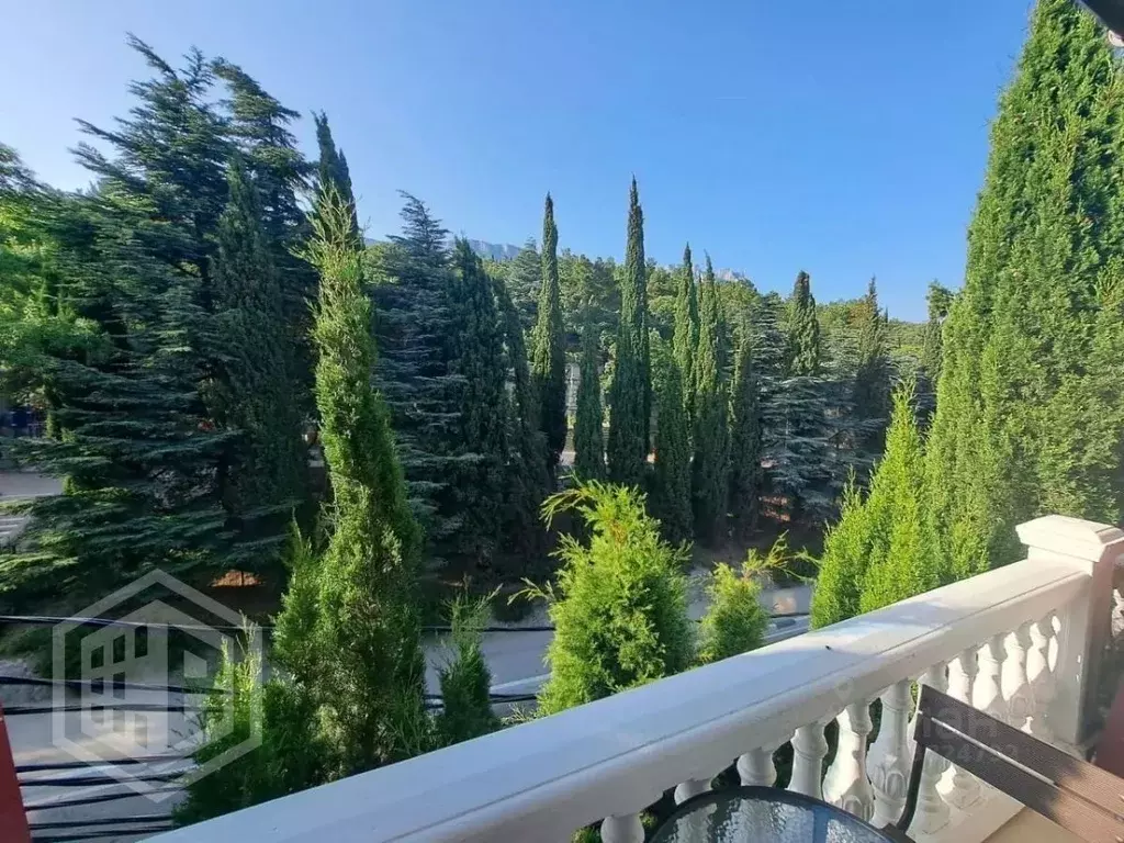 Студия Крым, Алупка ул. Ленина, 64Е (26.0 м) - Фото 1