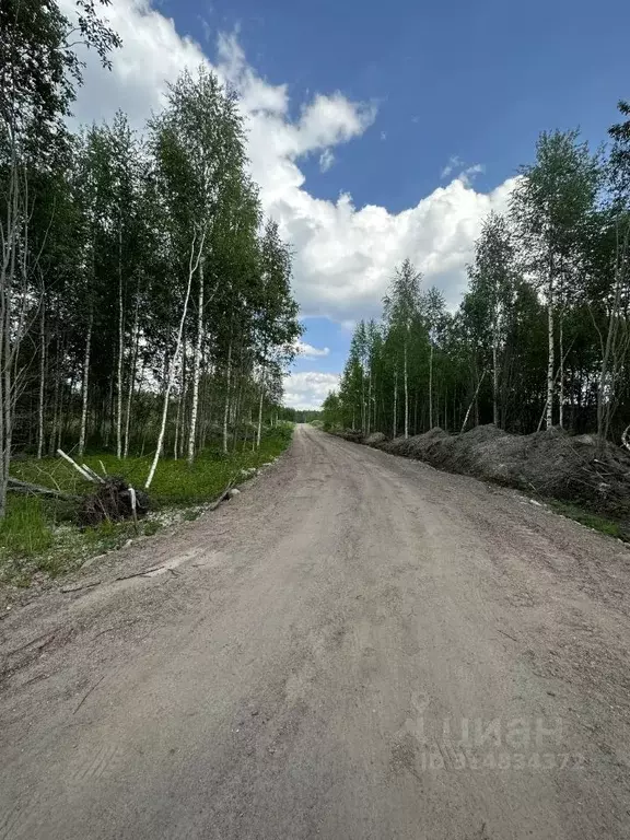 Участок в Ленинградская область, Кировский район, Мгинское городское ... - Фото 0