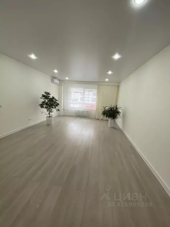 Студия Пензенская область, Пенза ул. 65-летия Победы, 29 (39.1 м) - Фото 1