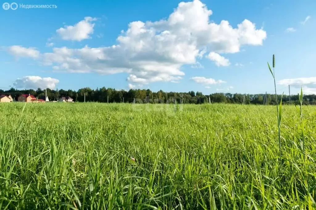 Участок в село Большая Кузьминка, Олимпийская улица (12 м) - Фото 1