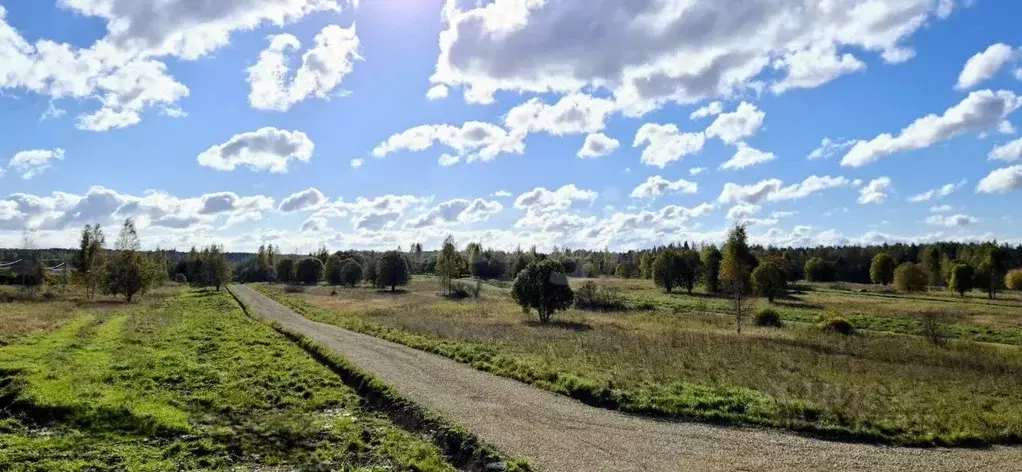 Участок в Ленинградская область, Ломоносовский район, Низинское с/пос, ... - Фото 1