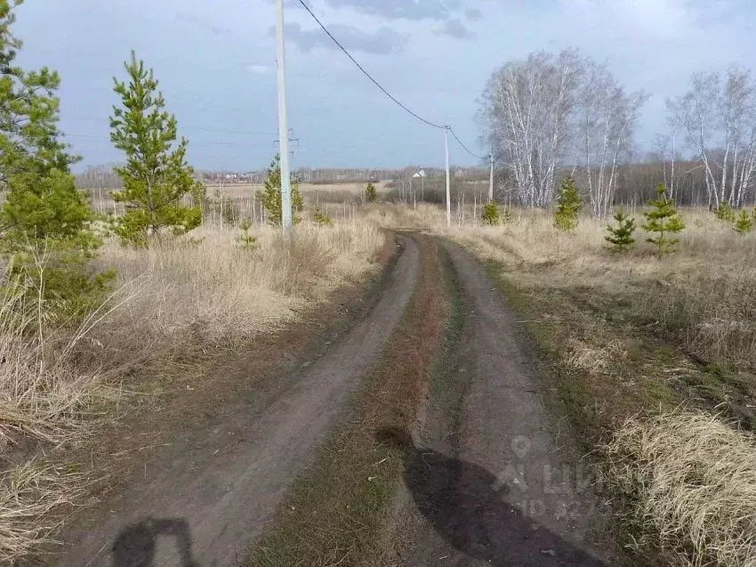 Участок в Курганская область, Кетовский муниципальный округ, ... - Фото 1