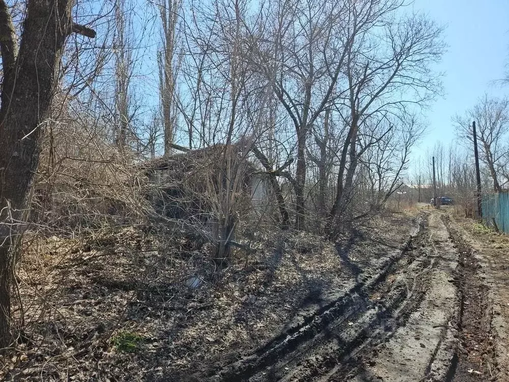 Участок в Воронежская область, Новоусманский район, Хреновское с/пос, ... - Фото 2