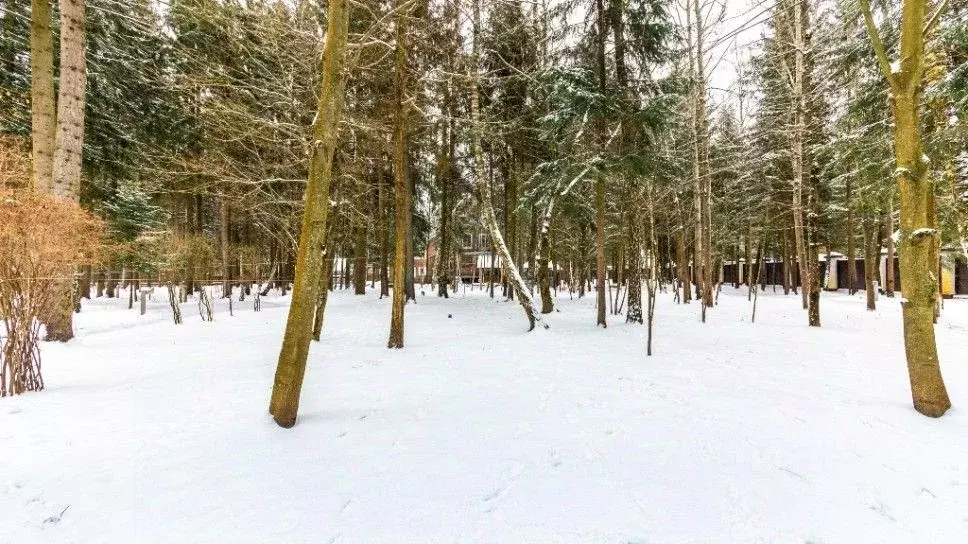 Участок в Московская область, Наро-Фоминский городской округ, д. ... - Фото 1