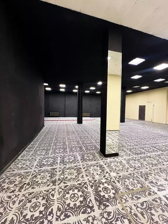 Помещение свободного назначения в Алтайский край, Барнаул просп. ... - Фото 1