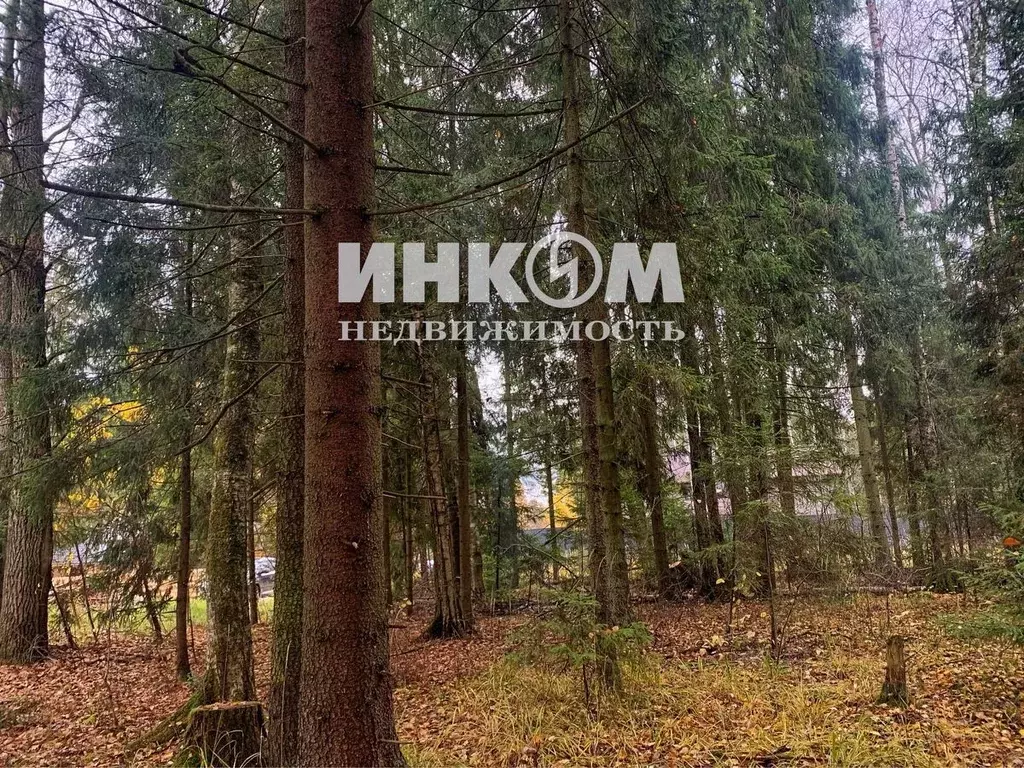 Участок в Московская область, Пушкинский городской округ, д. Могильцы, ... - Фото 1
