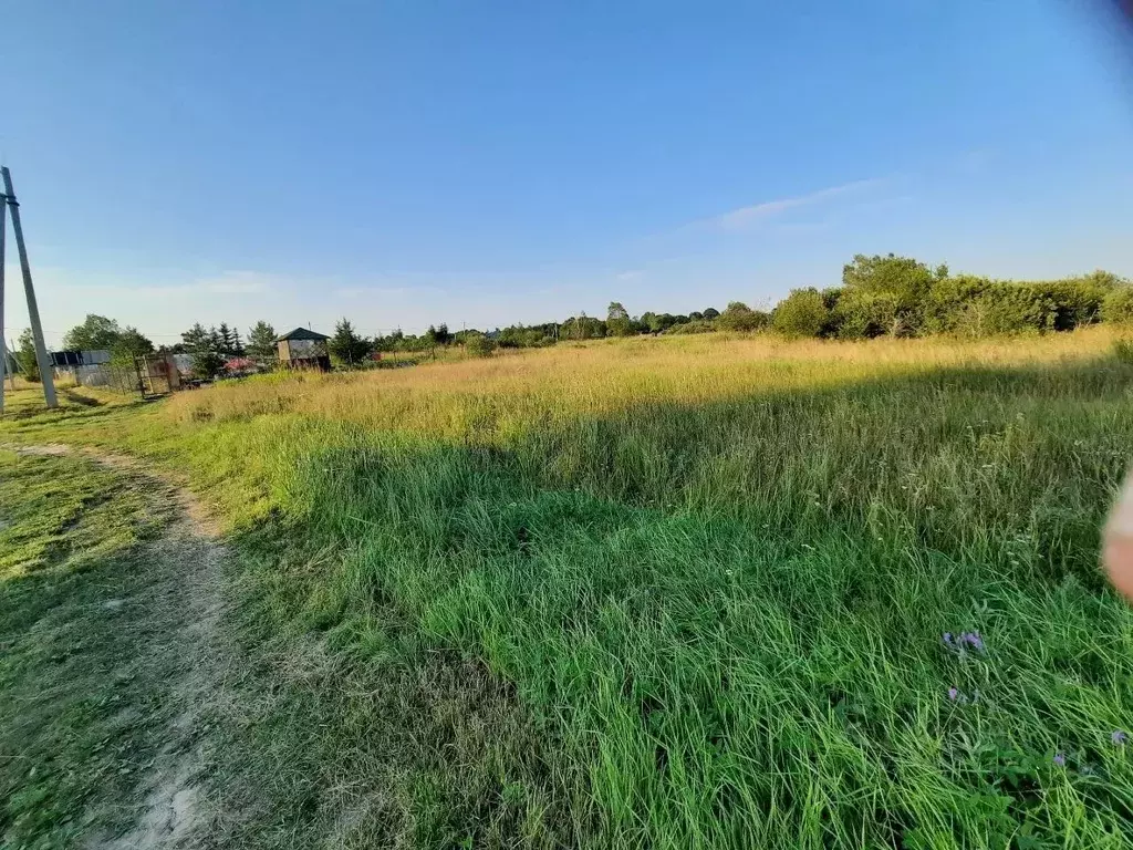 Участок в Новгородская область, Новгородский район, Ермолинское с/пос, ... - Фото 1