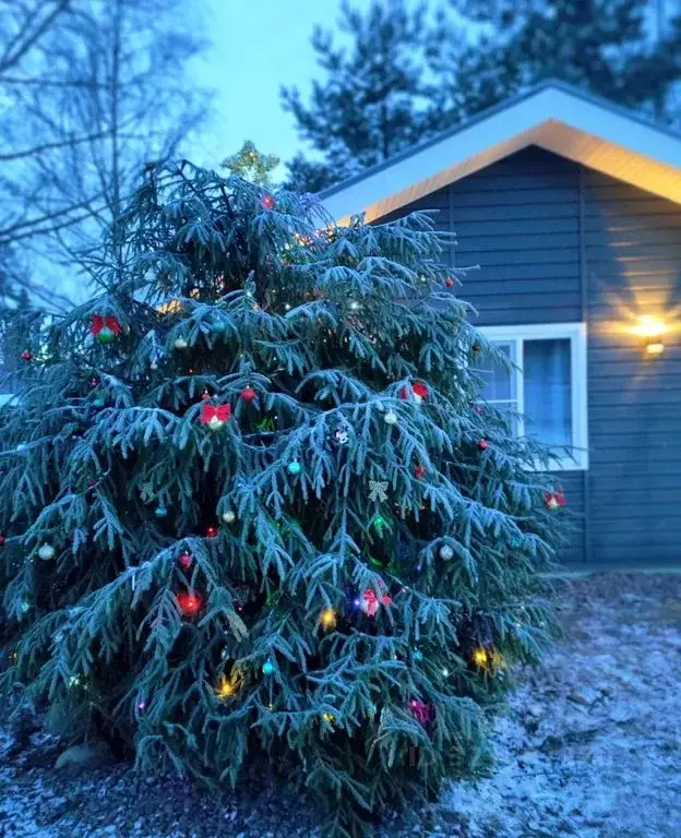 Дом в Ленинградская область, Выборгский район, Красносельское с/пос, ... - Фото 1