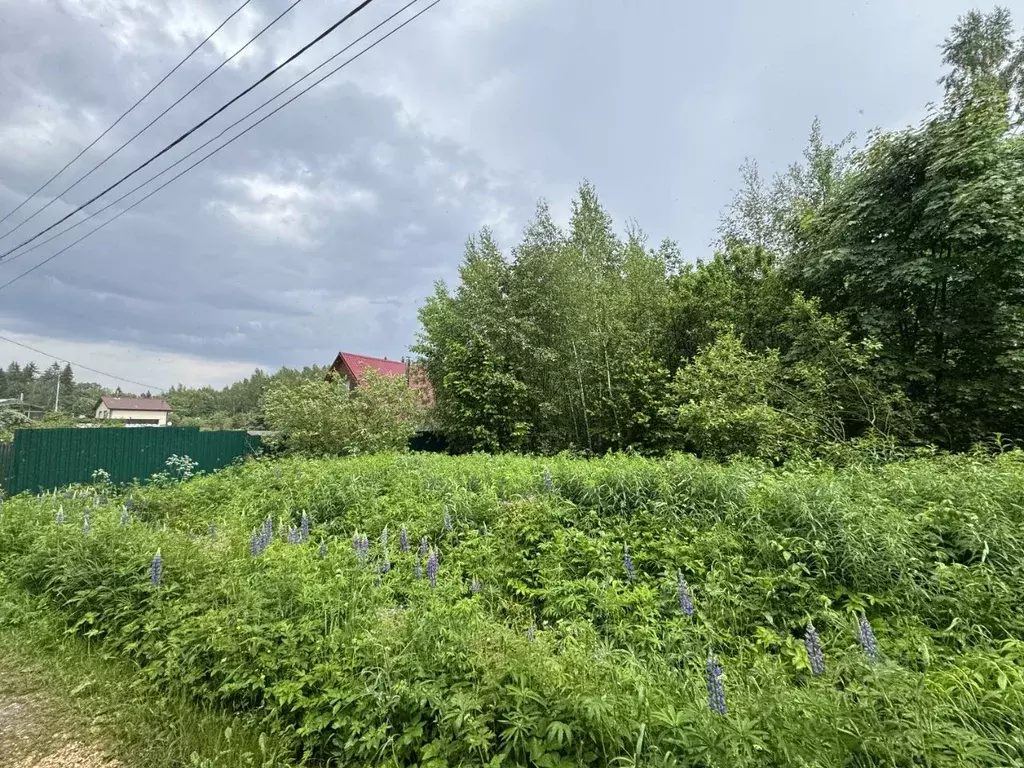 Участок в Московская область, Клин городской округ, Зенит-20 садовое ... - Фото 0