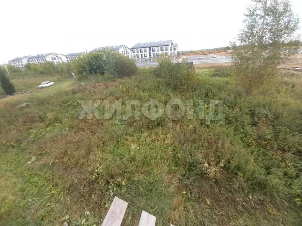 Участок в Новосибирская область, Новосибирский район, Каменский ... - Фото 1