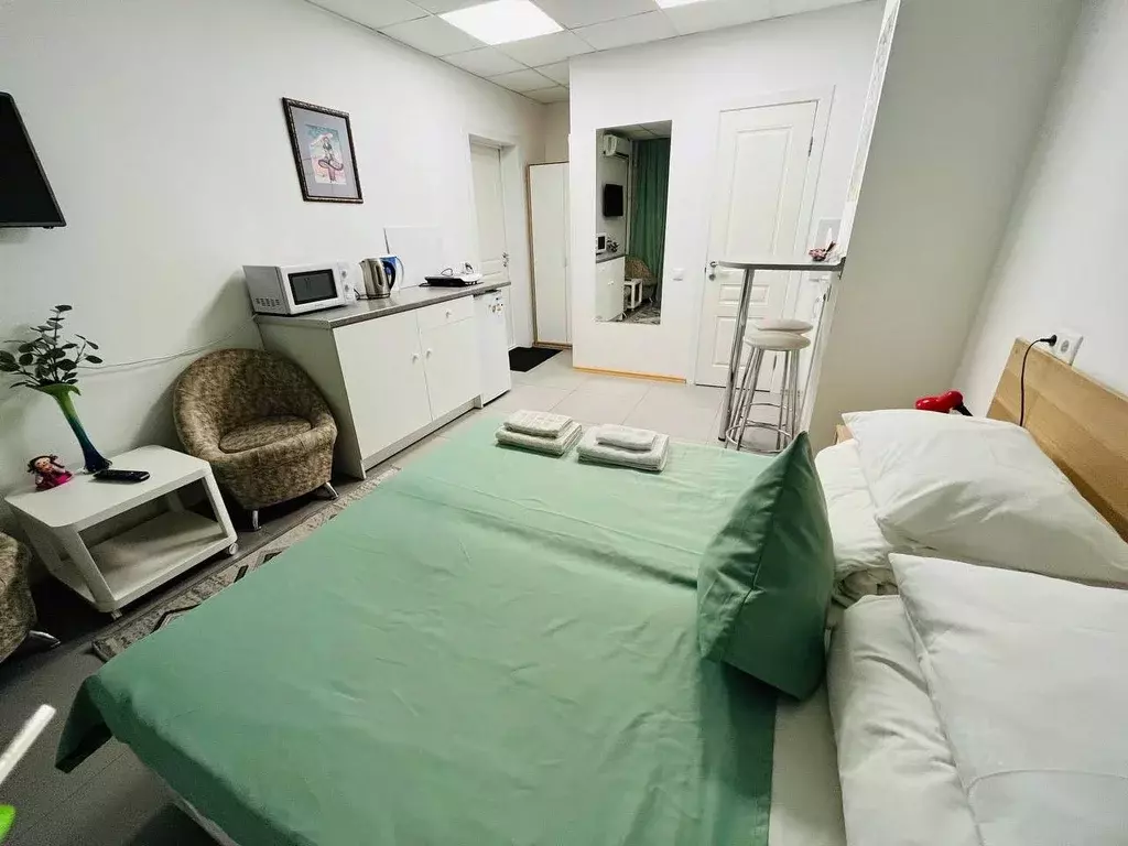 Студия Москва Электролитный проезд, 16к4 (22.0 м) - Фото 2